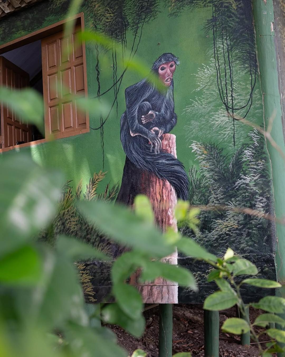 Lodge Evolucao Iranduba